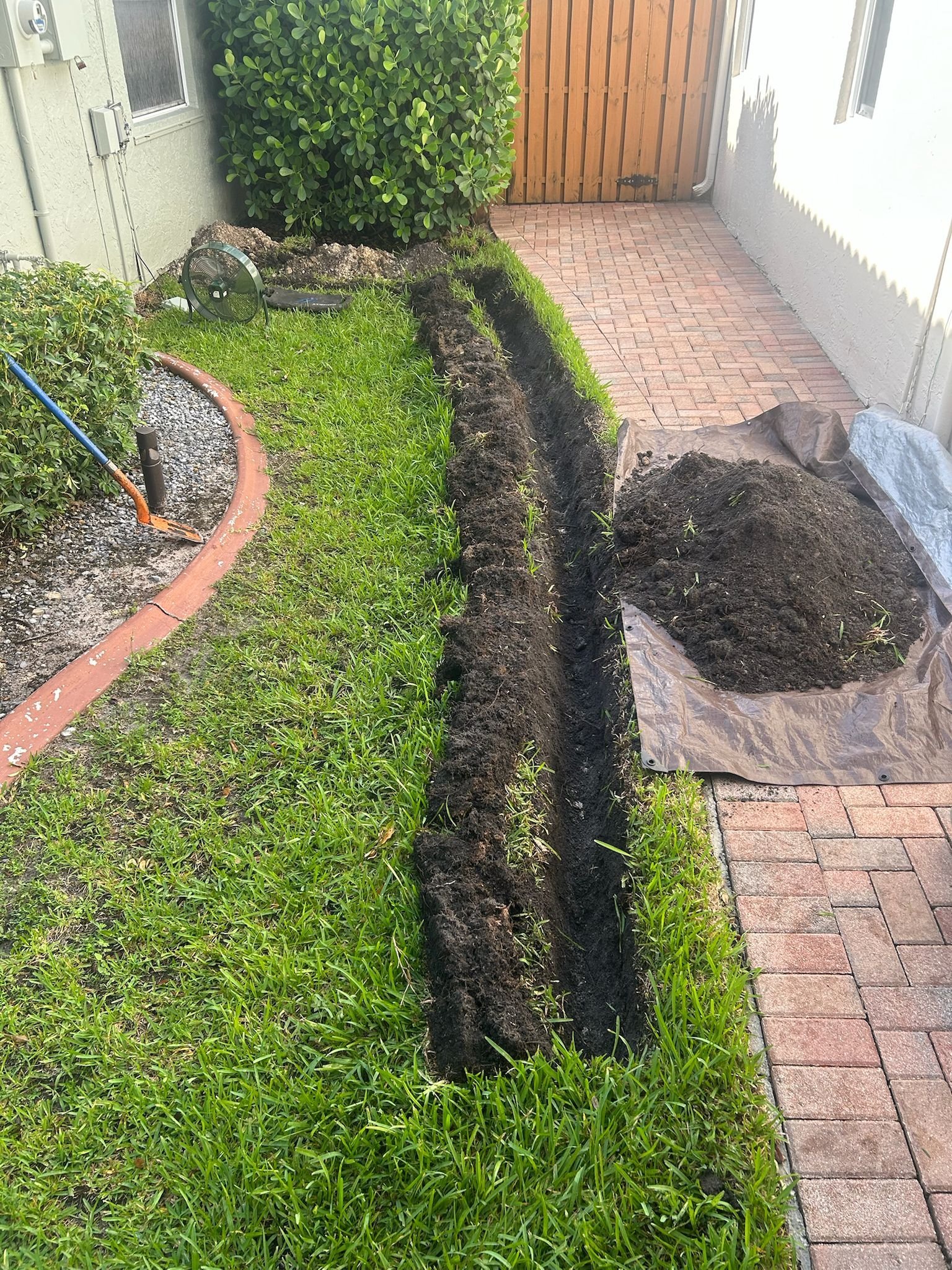 Antonio Rufin 2.jpeg